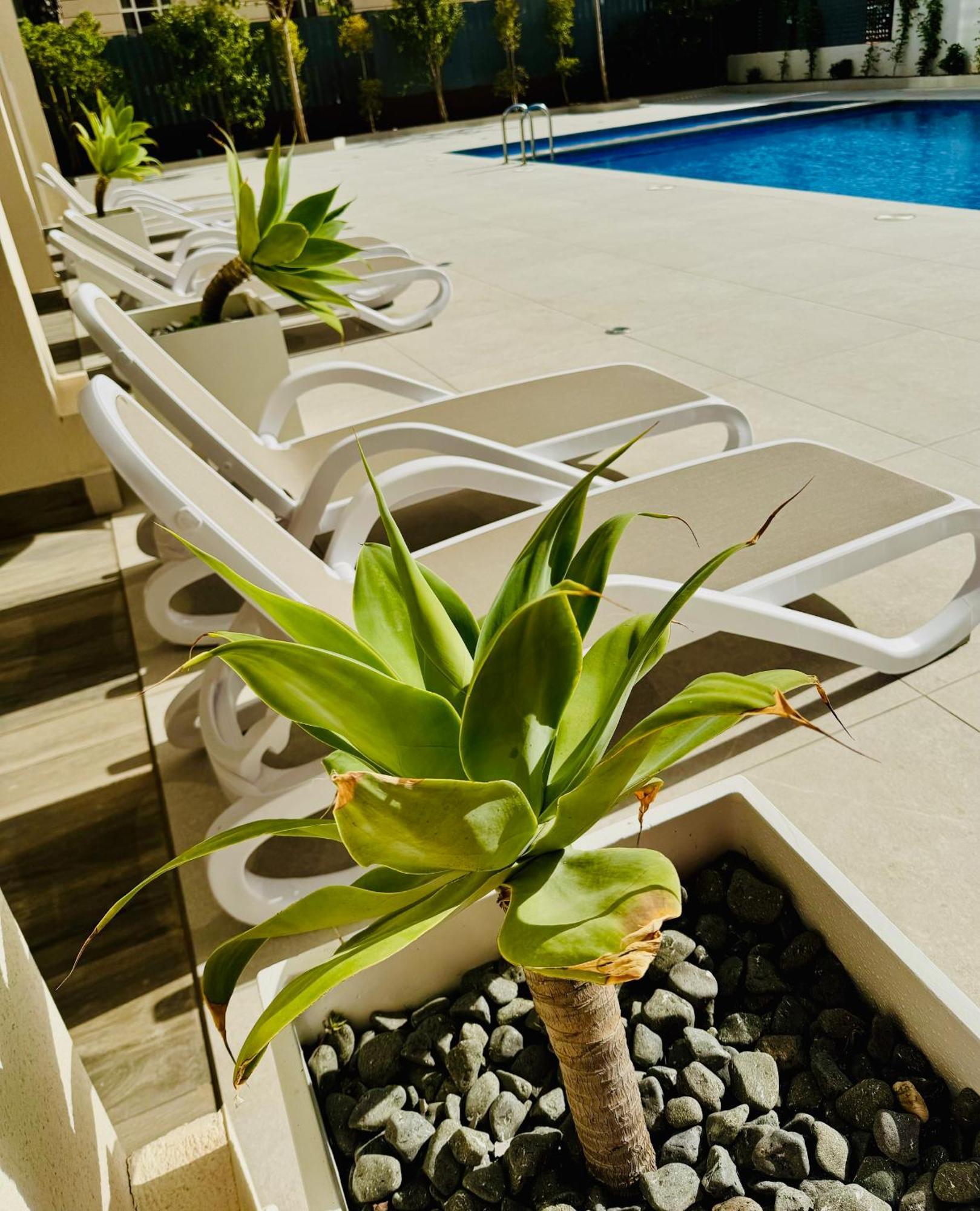 Calpe Beach II - Sea & Pool View Apartment Exteriér fotografie